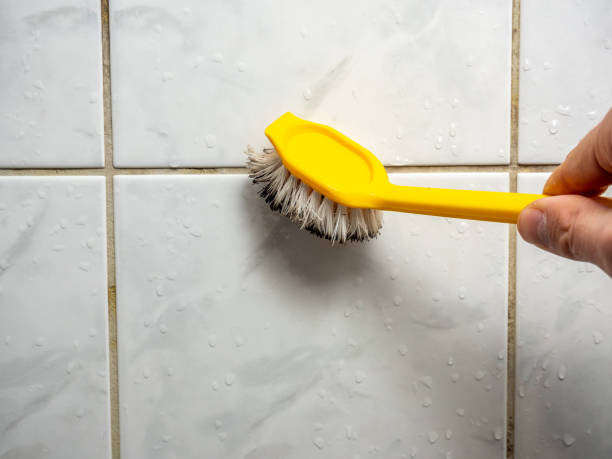 Best Office Mold Removal Services  in Conway, PA